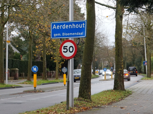 DSC08352aerdenhout_b