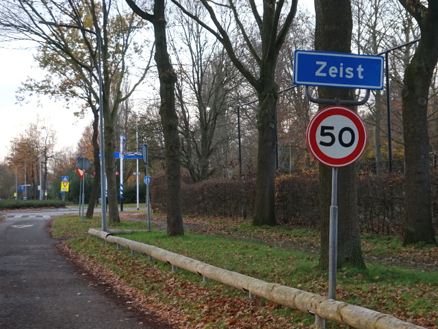 DSC08405zeist_b