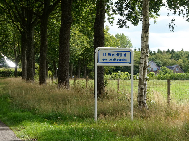 DSC09751itwyldfjild_w