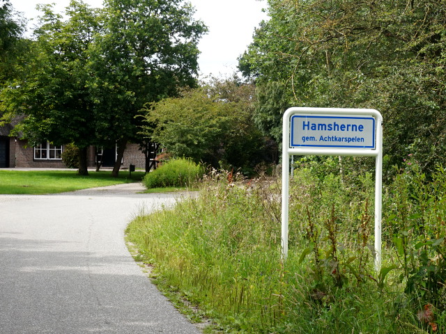 DSC09759hamsherne_w