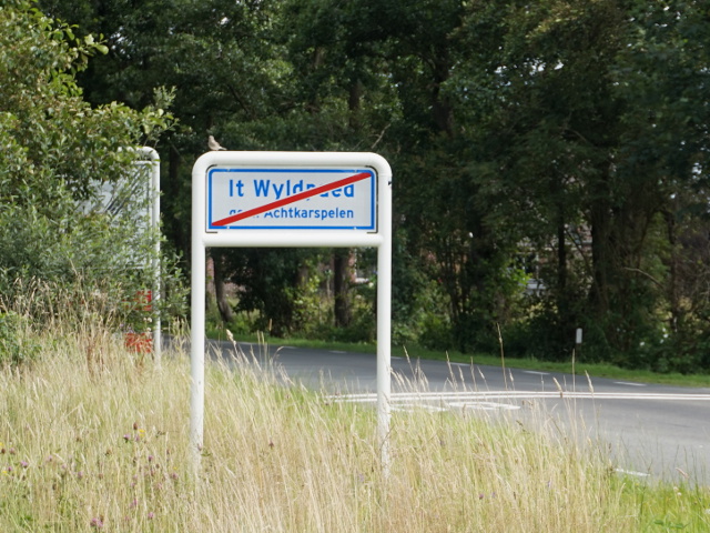 DSC09784itwyldpaed_e