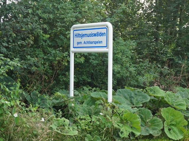 DSC09785hiltsjemuoiswalden_w