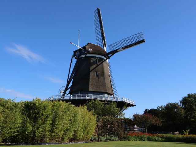 IMG_1901hoekvanholland_z