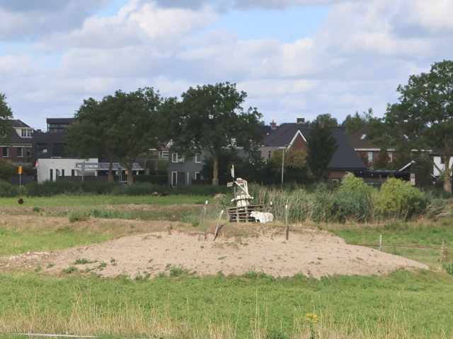IMG_2425berkel_z