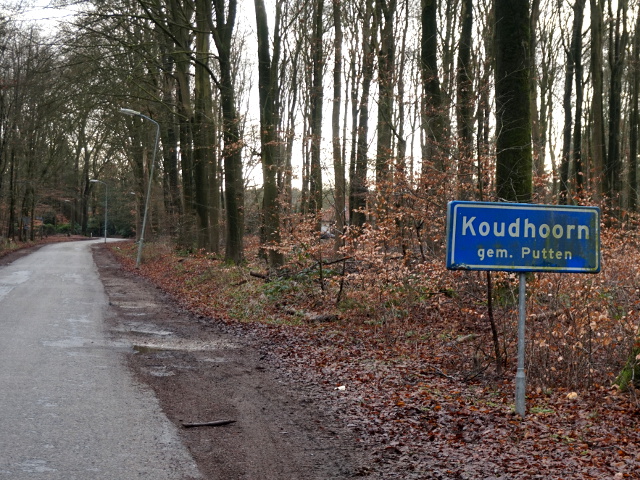 DSC00332koudhoorn_b