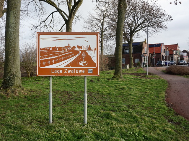 DSC01224lagezwaluwebruin_n