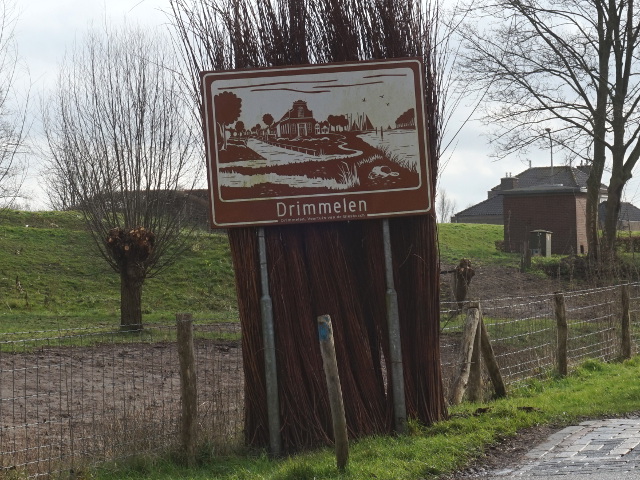 DSC01228drimmelenbruin_n
