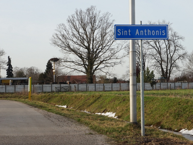 DSC01342sintanthonis_b