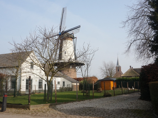 DSC01714ingen_z