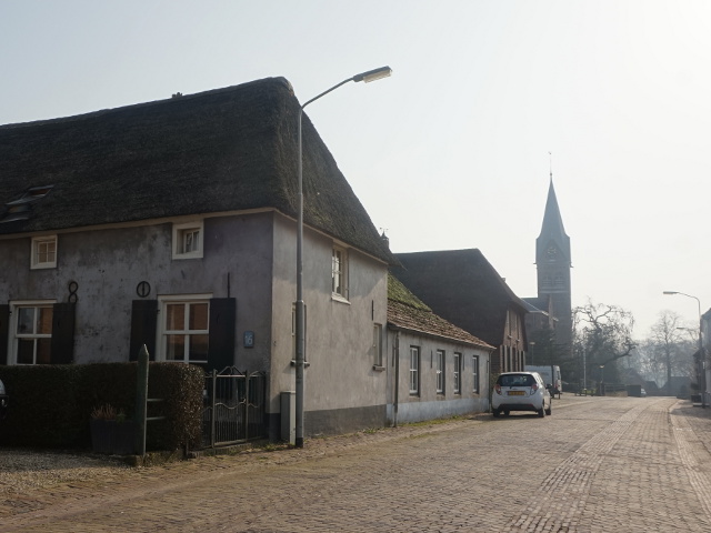DSC01725altforst_z