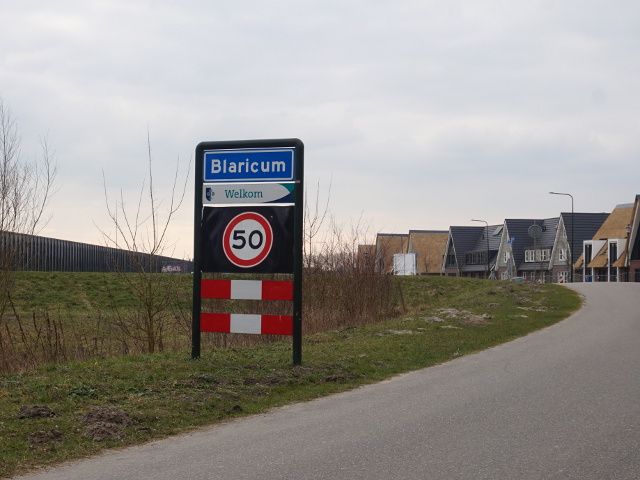 DSC01853blaricumbij_b
