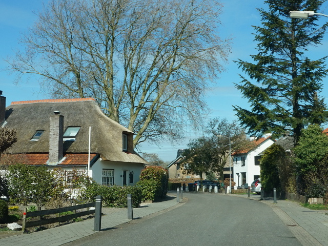 DSC02574lathum_z