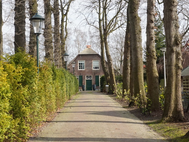 DSC03054hoogland_z