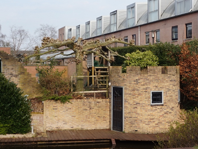DSC03077kattenbroek_z