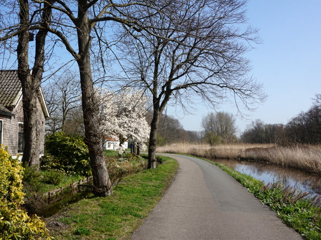 DSC03251delfgauw_z