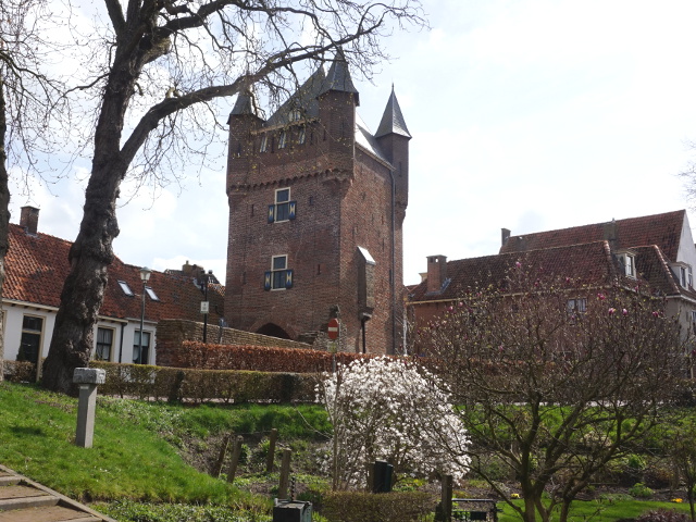 DSC03381hattem_z