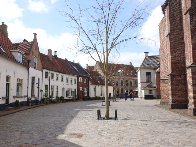DSC03399hattem_z
