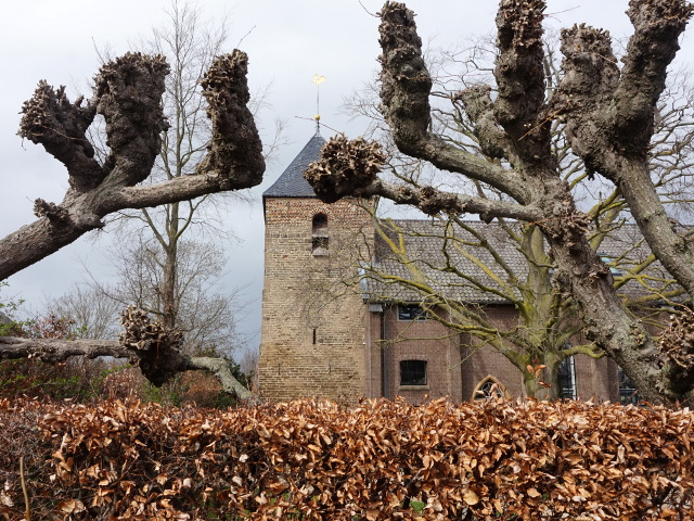 DSC04062appeltern_z