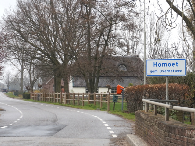 DSC04327homoet_w