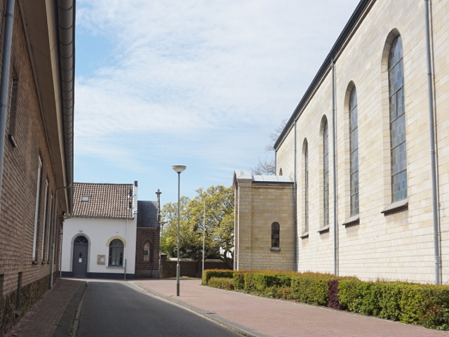 DSC06162buchten_z