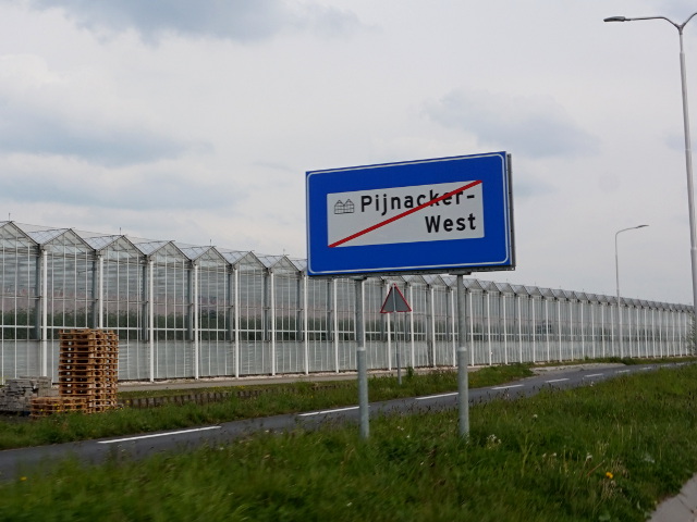 DSC06758pijnackerwest_e