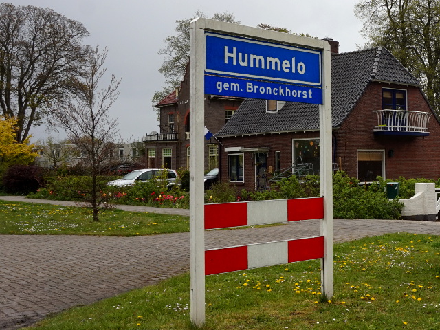 DSC06854hummelo_b