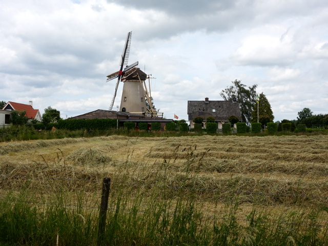 DSC09600rha_z