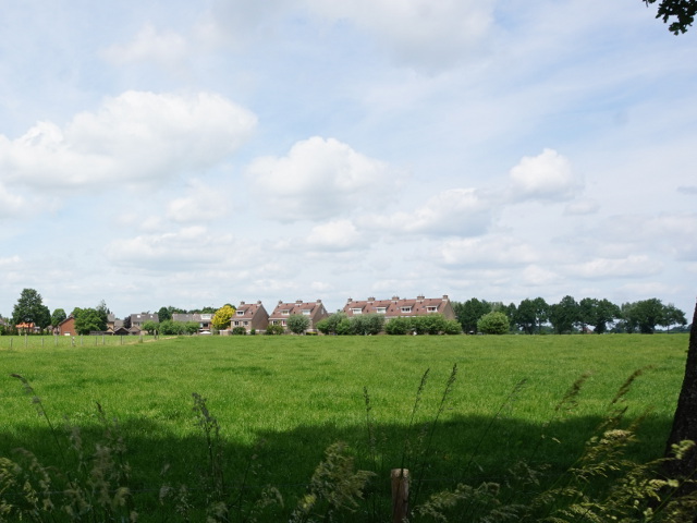 DSC09606velswijk_z