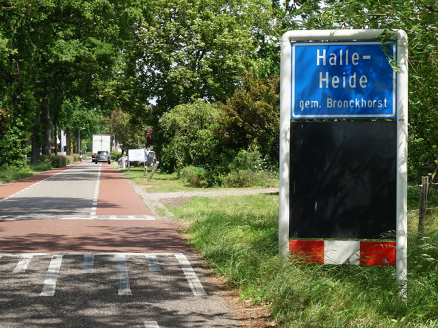DSC09611halleheide_b