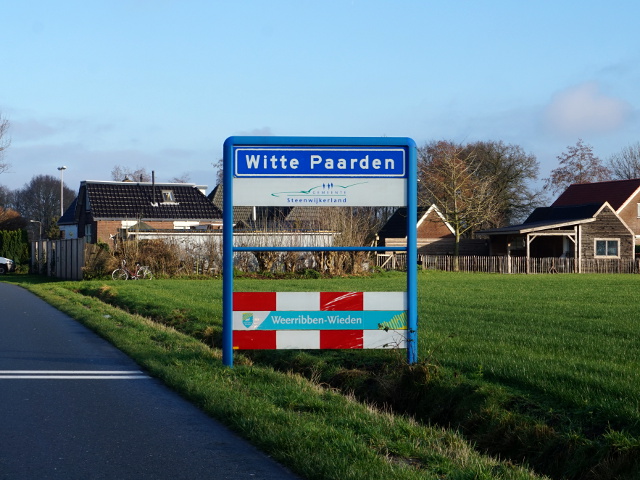 DSC09823wittepaarden_b
