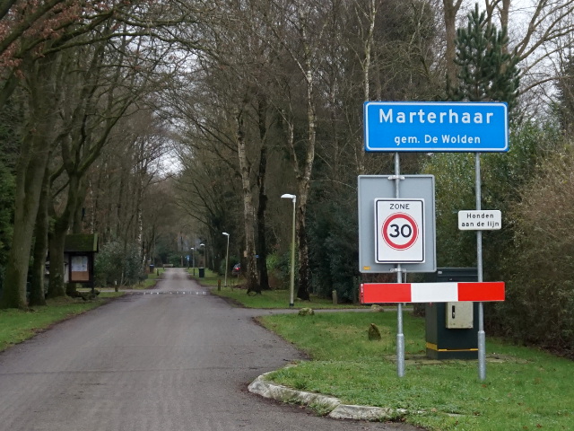 DSC09914marterhaar_b