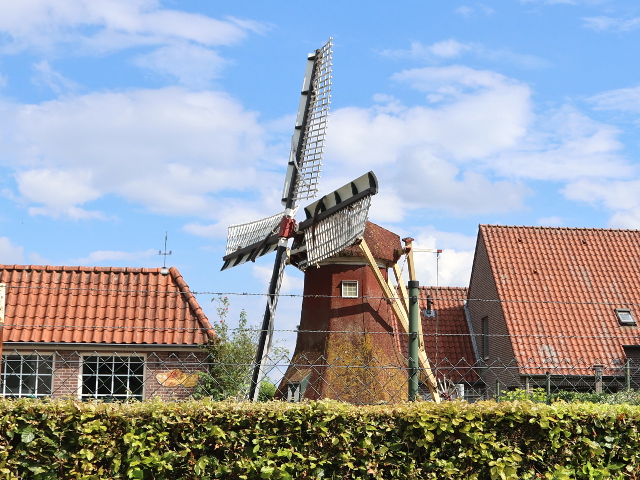 IMG_2065budelschoot_z