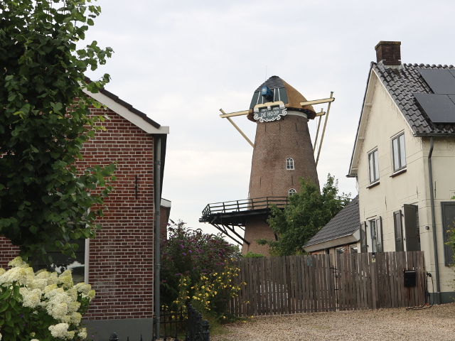 IMG_2212lienden_z