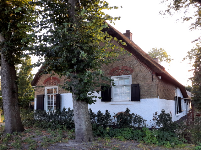 20210907_185618pijnacker_z