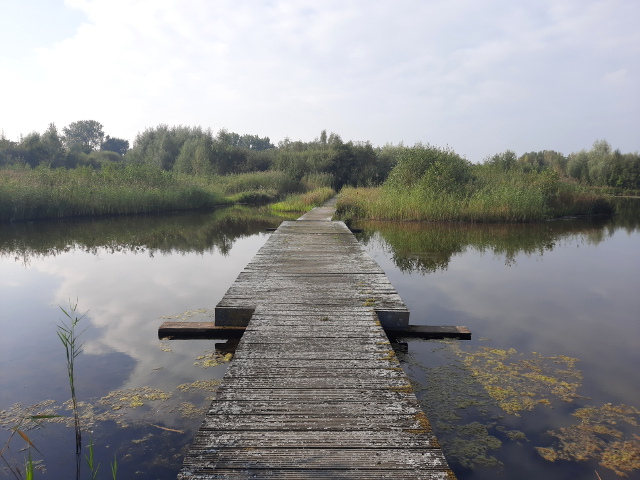 20210925_164327deschammerstoutenburg_z