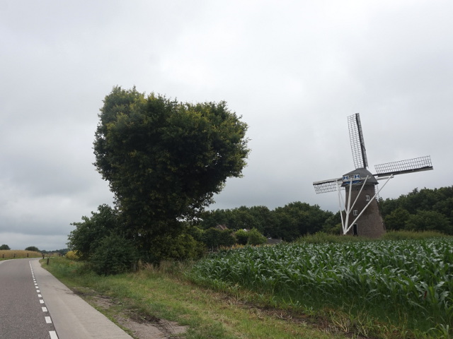 DSC00316vlierden_z