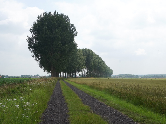 DSC00847heille_z