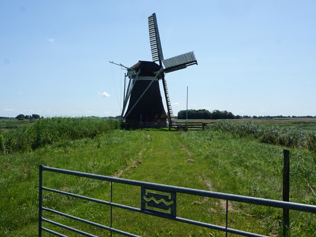 DSC01002hoeksmeer_z
