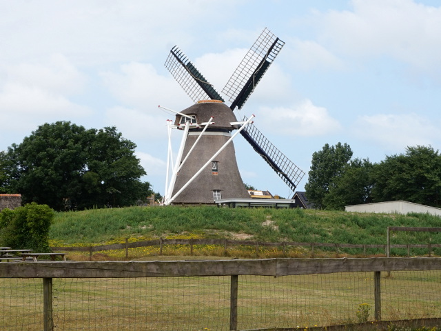 DSC01025nes_z