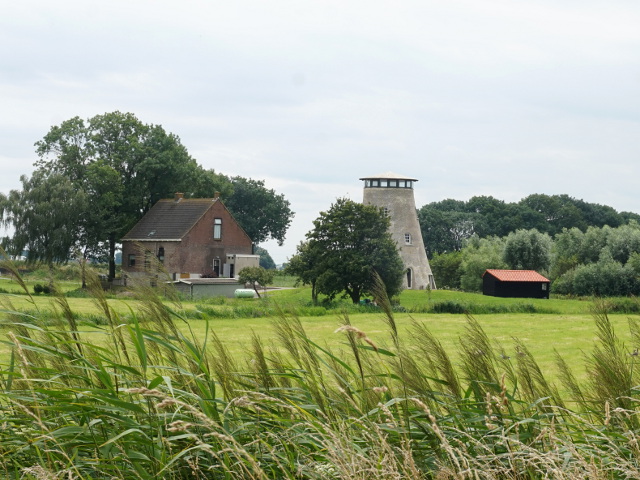DSC01552lagezwaluwe_z