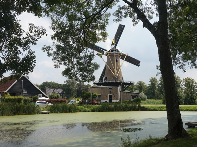 DSC01877geervliet_z
