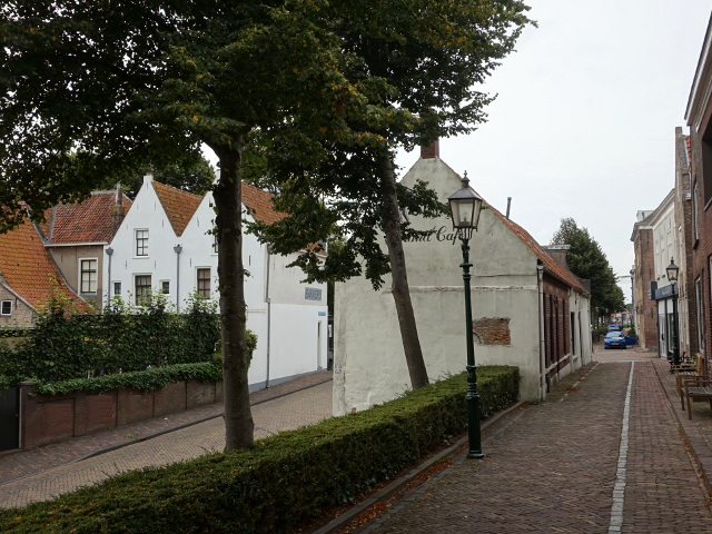DSC02386sommelsdijk_z