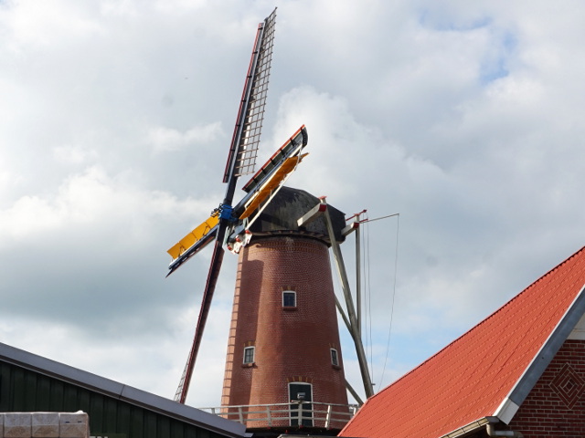DSC03246bovenpekela_z