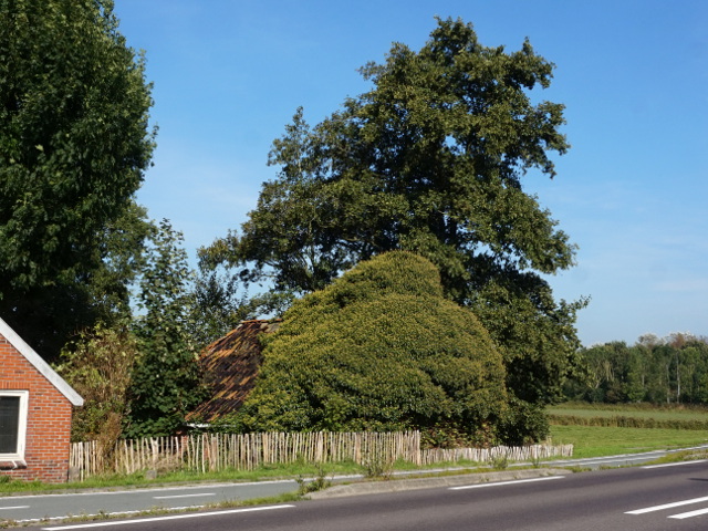 DSC03475zevenhuisjes_z