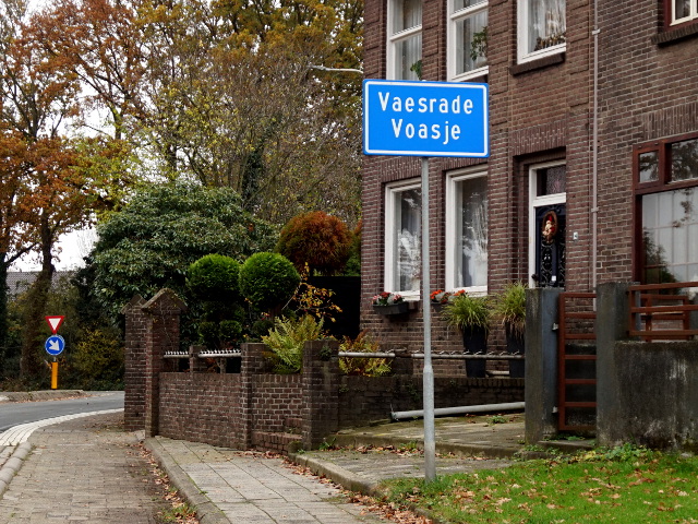 DSC04502vaesrade_b