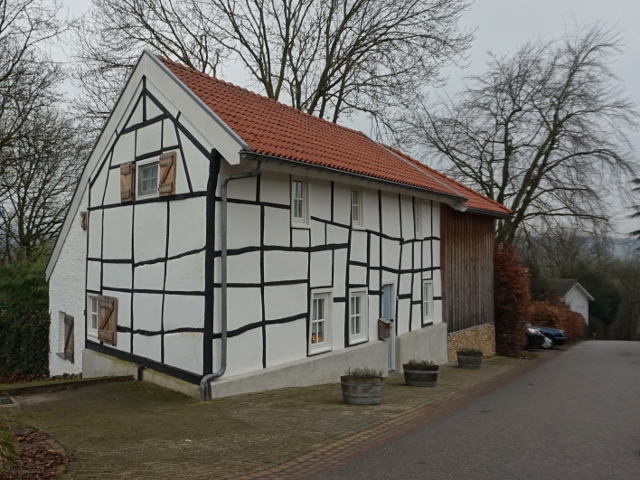 DSC05590bergenhuizen_z