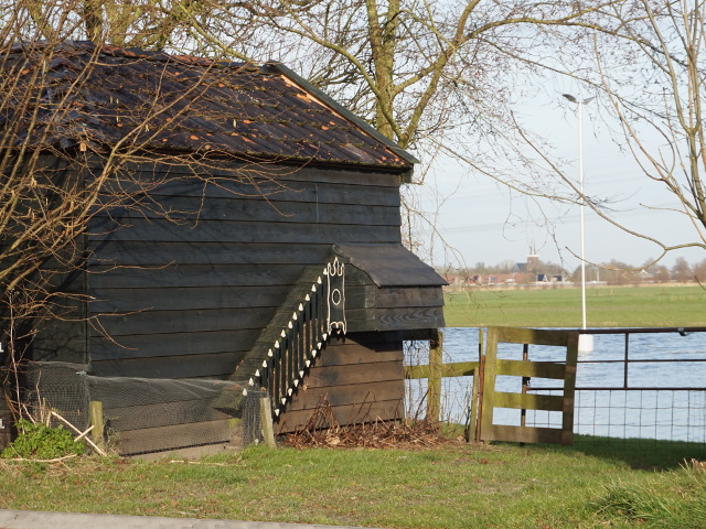 DSC05905wytgaard_z