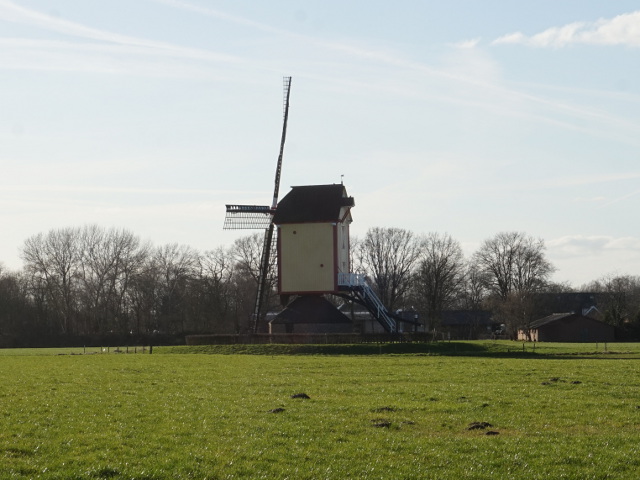 DSC06088overasselt_z