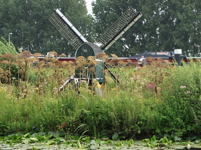 IMG_2312gouda_z