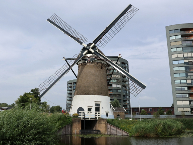 IMG_2315gouda_z